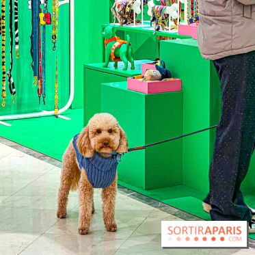Je T'aime Comme Un Chien : food, mode, déco ... une expo qui a du chien au Bon Marché Rive Gauche - image00003