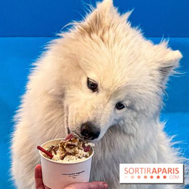 Je T'aime Comme Un Chien : food, mode, déco ... une expo qui a du chien au Bon Marché Rive Gauche - image00030