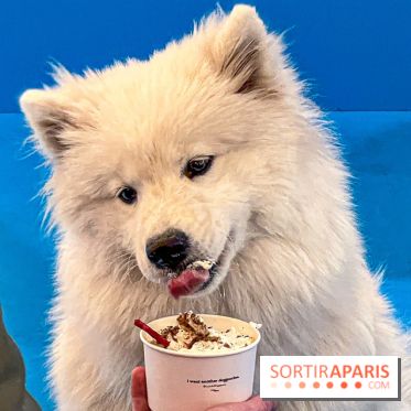 Je T'aime Comme Un Chien : food, mode, déco ... une expo qui a du chien au Bon Marché Rive Gauche - image00031