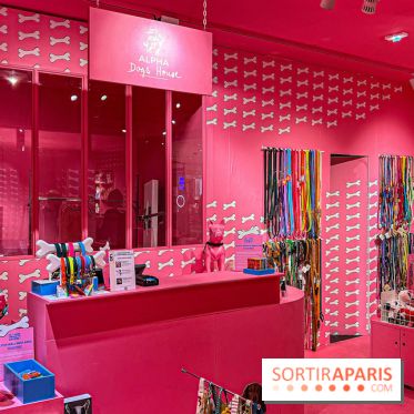 Je T'aime Comme Un Chien : food, mode, déco ... une expo qui a du chien au Bon Marché Rive Gauche - image00050