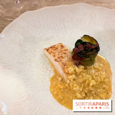 Episodes - Barbue, chou, sabayon oursin