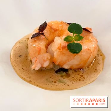 Episodes - Langoustine, céleri, bergamote