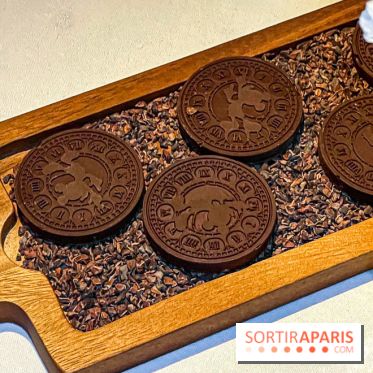 La Forêt Secrète par Jean Imbert au Disneyland Hotel - image00077