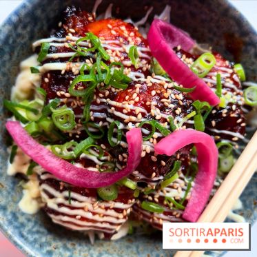 Kuma - Donburi karaage