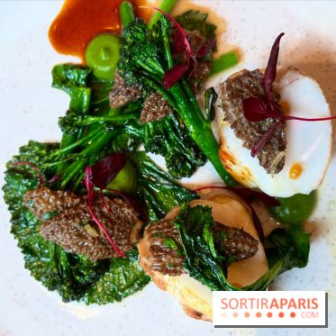 Colvert - Lotte au binchotan, morilles