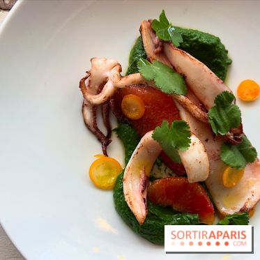 Sauvage - Encornets, agrumes, herbes