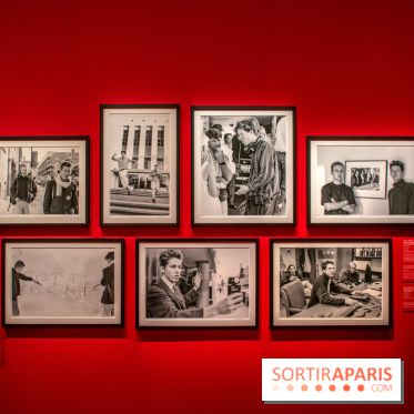 Exposition Wes Anderson à la Cinémathèque