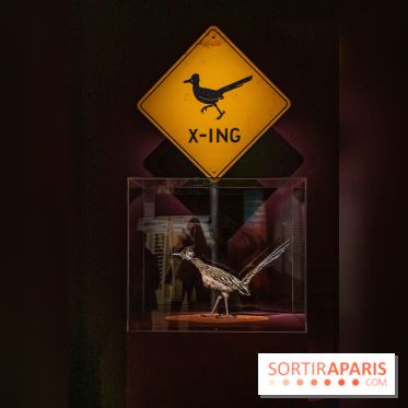 Exposition Wes Anderson à la Cinémathèque - DSC 2524