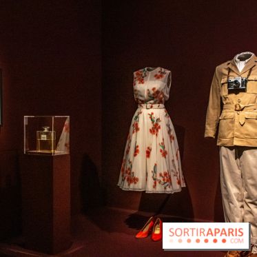 Exposition Wes Anderson à la Cinémathèque - DSC 2530