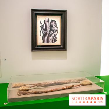 Exposition Tous Léger! au Musée du Luxembourg