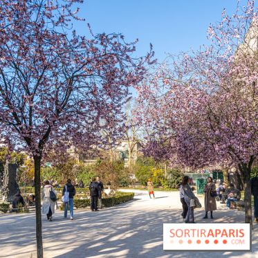 Le Square Viviani devant Notre-Dame de Paris
