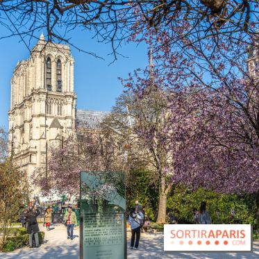Le Square Viviani devant Notre-Dame de Paris