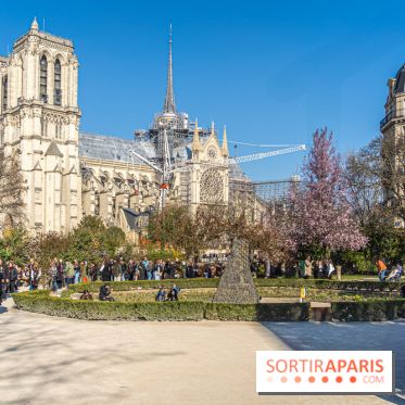 Le Square Viviani devant Notre-Dame de Paris  - A7C03842