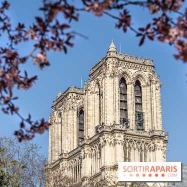 Le Square Viviani devant Notre-Dame de Paris