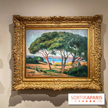 Exposition Maximilien Luce au Musée de Montmartre  - IMG 3600