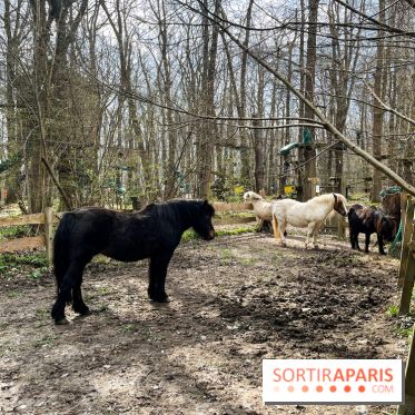 Sherwood Parc 2025 - nos photos - image00016