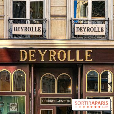Johnny Depp dévoile une œuvre à découvrir gratuitement dans un cabinet de curiosités parisien