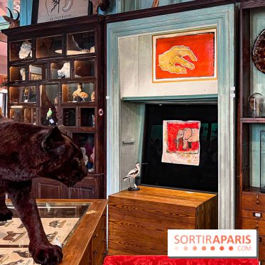 Johnny Depp dévoile une œuvre à découvrir gratuitement dans un cabinet de curiosités parisien - image00008