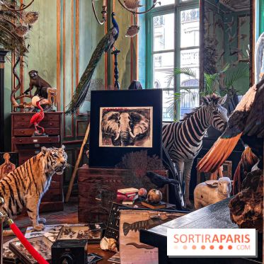 Johnny Depp dévoile une œuvre à découvrir gratuitement dans un cabinet de curiosités parisien - image00023