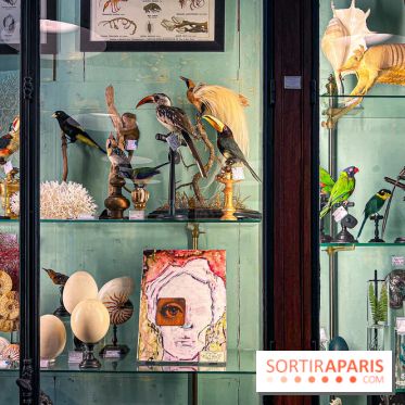 L'exposition gratuite des œuvres de Johnny Depp dans un cabinet de curiosités parisien