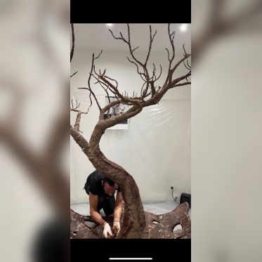 Printemps Canopee Kristaline - CANOPEE LARMES 6  GAEL CLAVIERE @DR