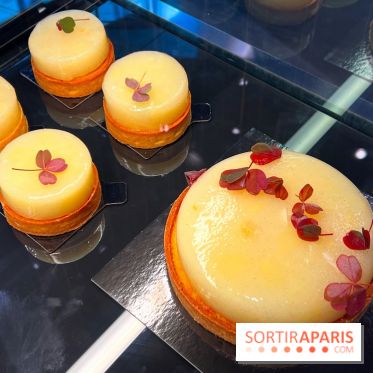 Boutique Quelque Part La Matière - Pâtisseries