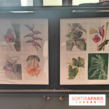 Des Chimères : l'exposition mystique à découvrir au musée Gustave Moreau, nos photos - fotor 1743190945332