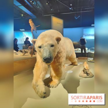 Déserts : l'exposition scientifique se dévoile au Muséum d'Histoire naturelle de Paris - fotor 1743502292036