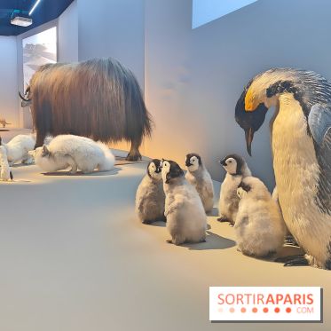Déserts : l'exposition scientifique se dévoile au Muséum d'Histoire naturelle de Paris