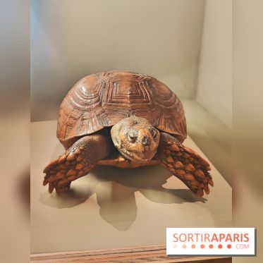 Déserts : l'exposition scientifique se dévoile au Muséum d'Histoire naturelle de Paris - fotor 1743502190807