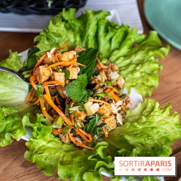 Buja restaurant végétarien thaï et Viet Paris 13e - photos - larb tofu