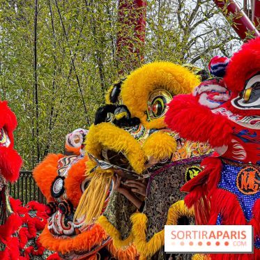 Le Défi du Dragon : la nouvelle attraction à sensations fortes du Jardin d'Acclimatation