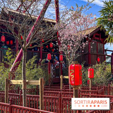 Le Défi du Dragon : la nouvelle attraction à sensations fortes du Jardin d'Acclimatation
