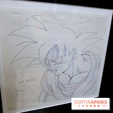 Rêves de Japon, nos photos de l'exposition à voir à Rueil-Malmaison - Rêves de Japon 19 fotor 20250401193842