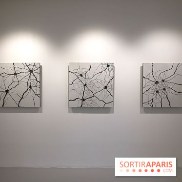 Osvaldo González et Zhanna Kadyrova à la Galleria Continua, nos photos - Galleria Continua 9 fotor 20250401191648