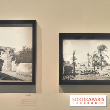 Trésors sauvés de Gaza : l'histoire de Gaza exposée à travers des vestiges archéologiques à l'IMA  - fotor 1743592106883