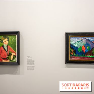 Gabriele Münter, peindre sans détours : l'exposition au Musée d'art moderne de Paris - DSC 2627