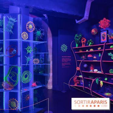 Digital Abysses au musée en Herbe - nos photos - 5E840A8C 6B0E 4F9C A75C 355062E1DA7E