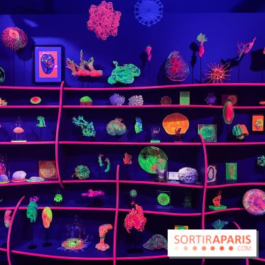 Digital Abysses au musée en Herbe - nos photos - 0129F15A 5778 46C1 BB45 E8B6ED6C3104