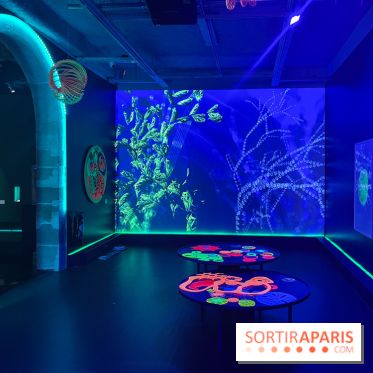 Digital Abysses au musée en Herbe - nos photos - 8F23999D 18C5 4CB3 8088 2779B3961DD3