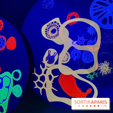 Digital Abysses au musée en Herbe - nos photos - 23C050E1 29AD 4602 97AF 05F2D4696EF9