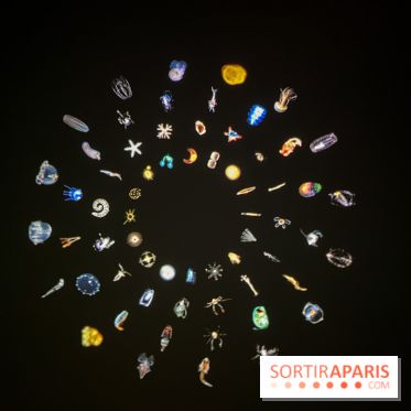 Digital Abysses au musée en Herbe - nos photos - 9ECF3129 95DF 4C74 9051 704E8027F710