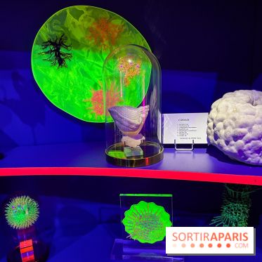 Digital Abysses au musée en Herbe - nos photos - DD554534 3B5F 4D3A A1DA 9202207380FC