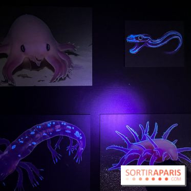 Digital Abysses au musée en Herbe - nos photos - F3A37CC1 EED0 4B18 8971 5253738A4248