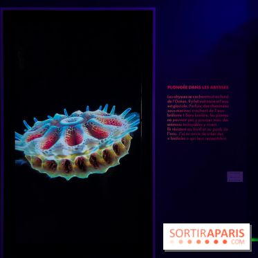 Digital Abysses au musée en Herbe - nos photos - 3EF88524 67E6 4BD3 85EC 333C290BF976