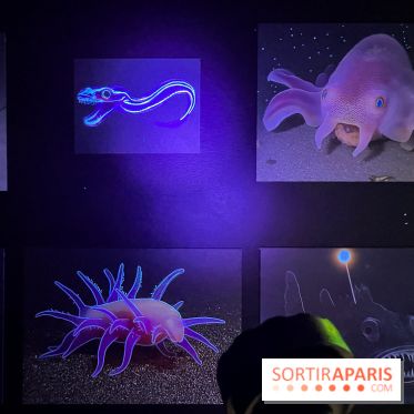 Digital Abysses au musée en Herbe - nos photos - 75DC5D6A 1C62 4583 B62A 02535EB14982