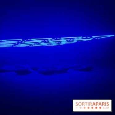 Into The Light, une exposition lumineuse à la Grande Halle de la Villette - IMG 8520