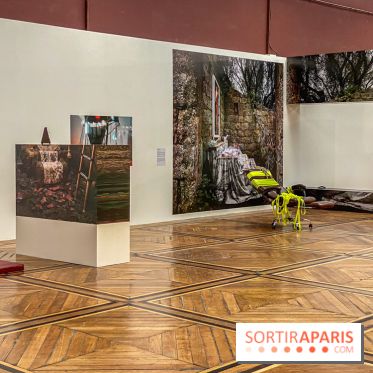 Chère Melpomène : l'exposition aux Beaux-Arts de Paris  - IMG 4134