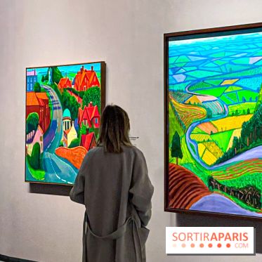 David Hockney : la plus grande exposition retrospective de l'artiste à la Fondation Louis Vuitton - IMG 8510 jpg