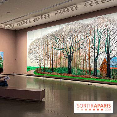 David Hockney : la plus grande exposition retrospective de l'artiste à la Fondation Louis Vuitton - IMG 8557 jpg